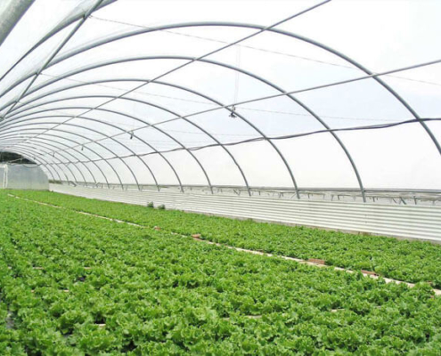 İNTRANET-MASTERBATCH (1)